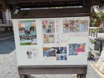 柏神社(千葉県)