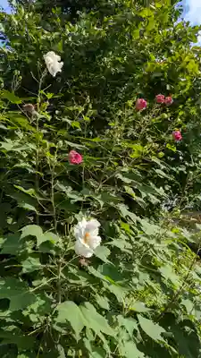 西福寺(京都府)