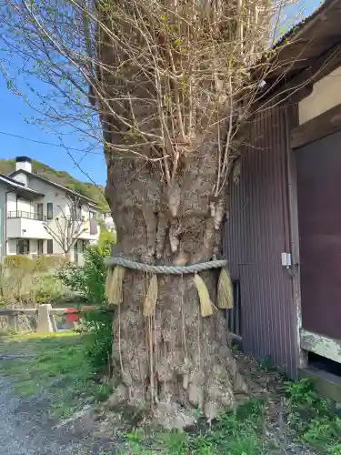 蛭子神社(神奈川県)