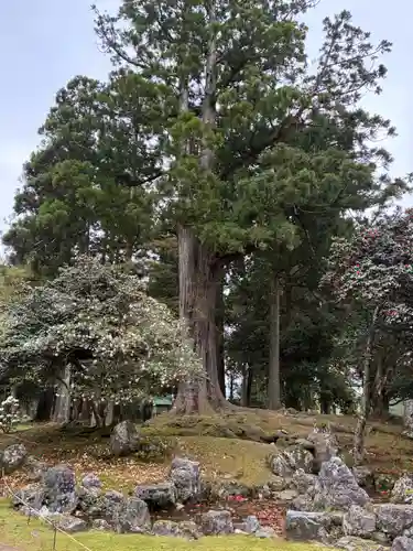興聖寺(滋賀県)