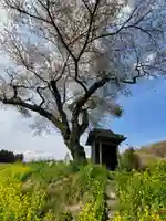 小沢の桜祠(福島県)