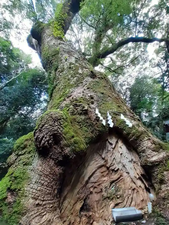 奈良豆比古神社(奈良県)