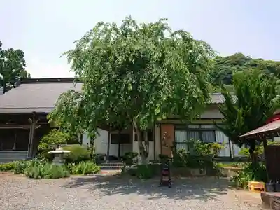 花蔵院のその他建物