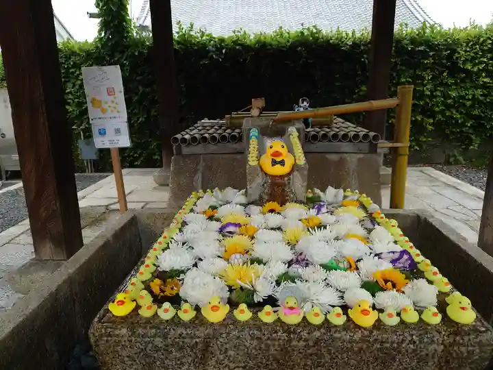 くろ谷 金戒光明寺の手水舎