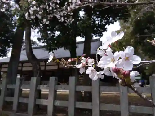 宗忠神社(京都府)