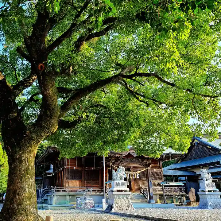 大歳神社(静岡県)