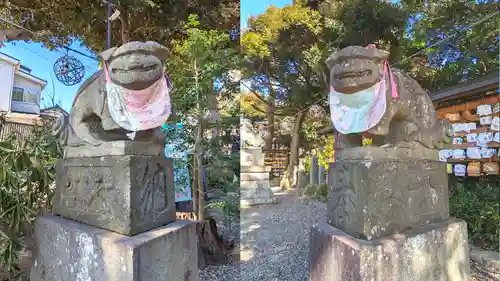 菊田神社の狛犬