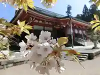 比叡山延暦寺の自然
