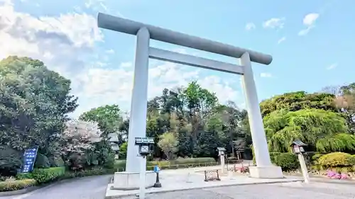 櫻木神社の鳥居