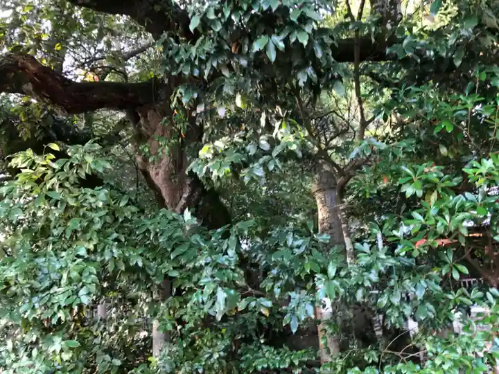 木梨神社(兵庫県)