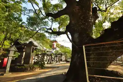 薬王寺(徳島県)