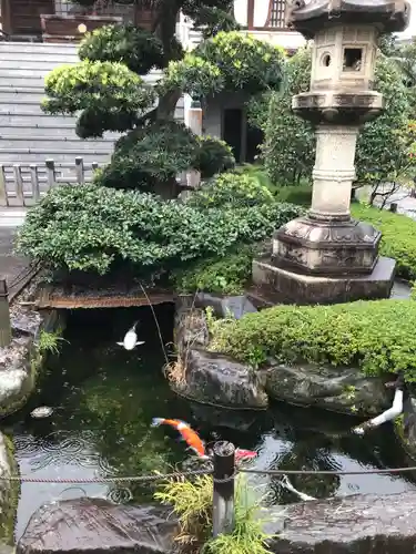 来迎寺の動物