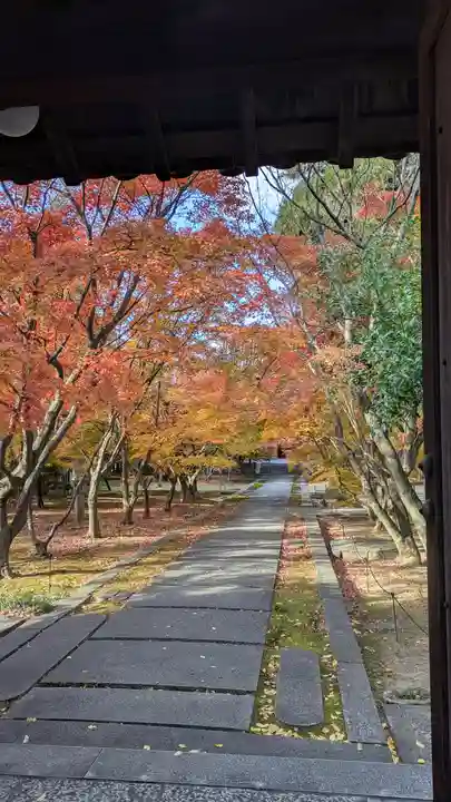 興聖寺(京都府)