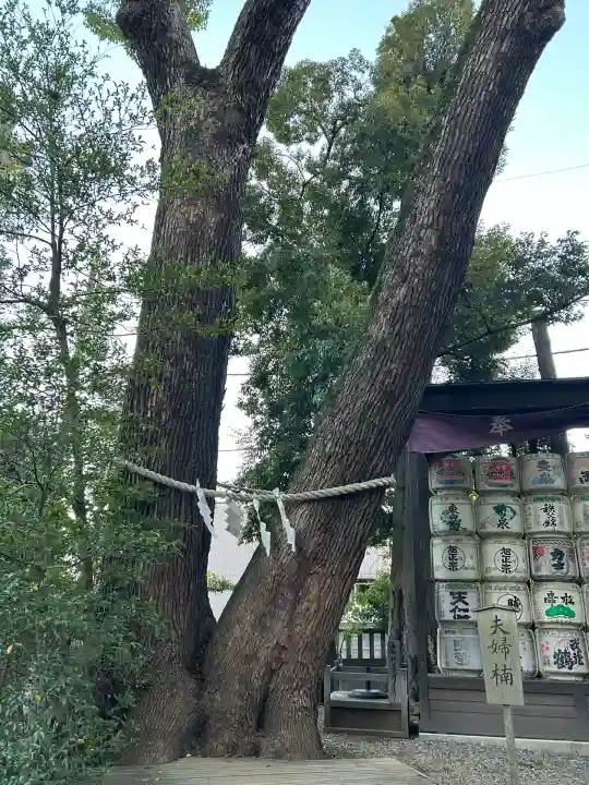武蔵一宮氷川神社(埼玉県)