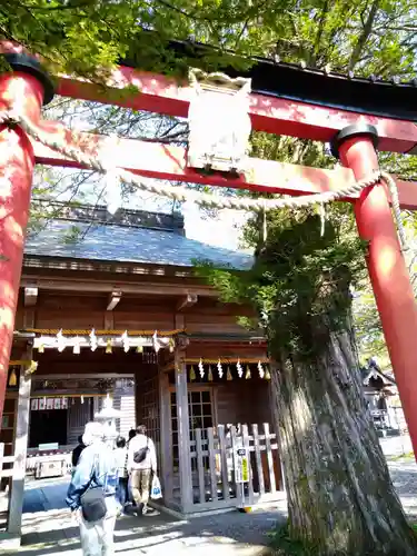 淺間神社（忍野八海）の鳥居