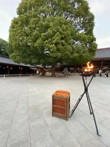 明治神宮(東京都)