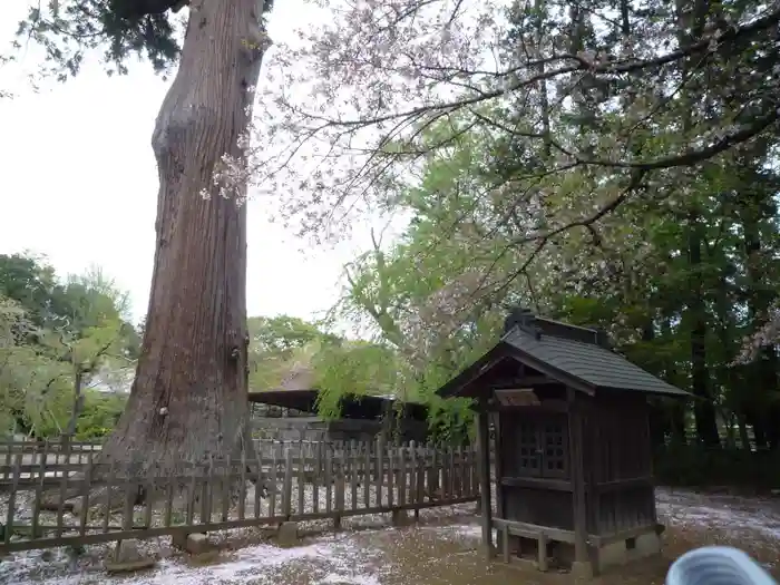 弘経寺の建物その他