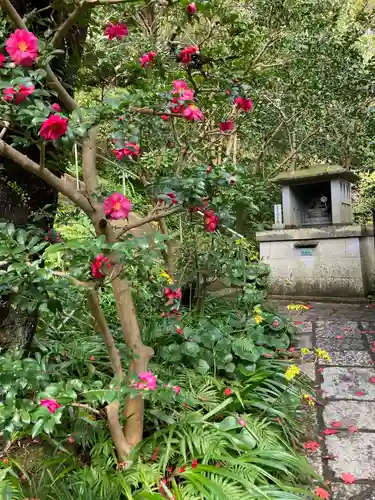 浄光明寺の自然