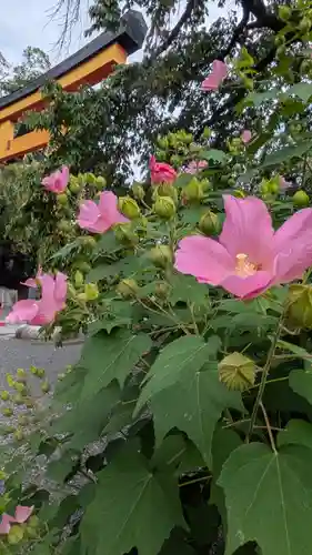 平野神社(京都府)