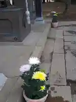 伏木香取神社のその他建物