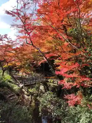 根来寺(和歌山県)