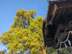 三津厳島神社(愛媛県)(2024年04月17日(水) 16時39分54秒投稿)