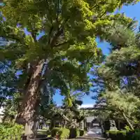 当別神社