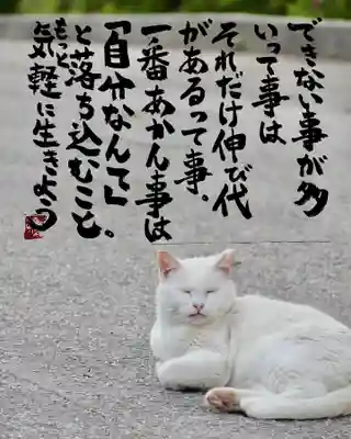 専念寺(大阪府)