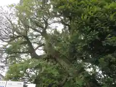 九重神社(埼玉県)