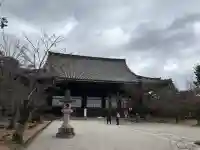 真正極楽寺(真如堂)の{uncategorized: "未分類", other: "その他", undefined: "問題あり", building: "その他建物", grave: "お墓", sacred_gate: "鳥居", guardian: "狛犬", statue: "像", buddha: "仏像", history: "歴史", nature: "自然", garden: "庭園", animal: "動物", pagoda: "塔", temizu: "手水舎", mountain_gate: "山門・神門", sanctuary: "本殿・本堂", subordinate: "末社・摂社", art: "芸術", scenery: "景色", jizo: "地蔵", ema: "絵馬", goshuin: "御朱印", omikuji: "おみくじ", items: "授与品その他", amulet: "お守り", goshuincho: "御朱印帳", eats: "食事", festival: "お祭り", votive_dance: "神楽", shichigosan: "七五三参", wedding: "結婚式", experience: "体験その他", initially: "初詣", around: "周辺", anti_infection: "感染症対策"}