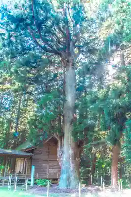 上沼八幡神社(宮城県)