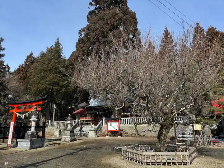 鼬幣稲荷神社(岩手県)