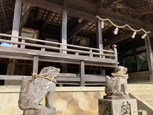 甲八幡神社の狛犬