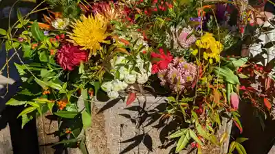 勝林寺(京都府)