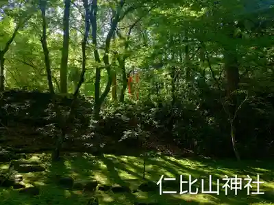 仁比山神社(佐賀県)