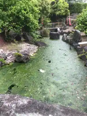 観音寺の御朱印