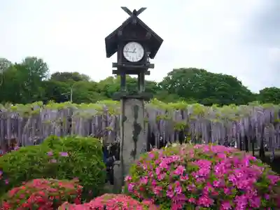 玉敷神社(埼玉県)