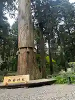 御岩神社のその他建物