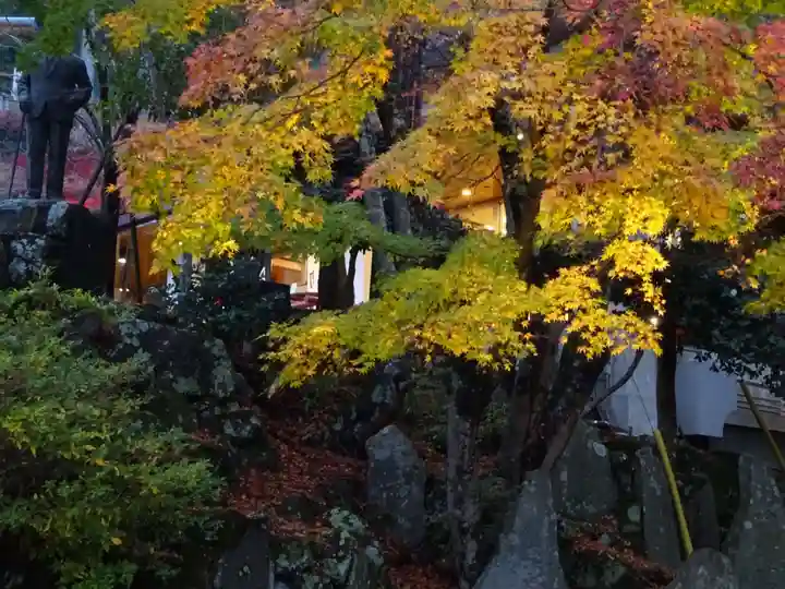 大山阿夫利神社の自然