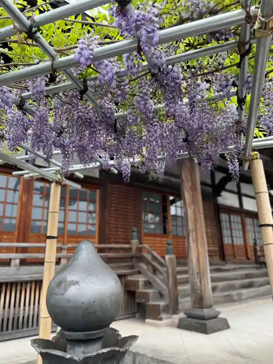 浄土真宗本願寺派 明光山 最徳寺(東京都)