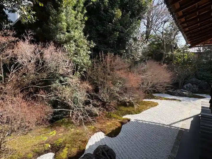西来院の{uncategorized: "未分類", other: "その他", undefined: "問題あり", building: "その他建物", grave: "お墓", sacred_gate: "鳥居", guardian: "狛犬", statue: "像", buddha: "仏像", history: "歴史", nature: "自然", garden: "庭園", animal: "動物", pagoda: "塔", temizu: "手水舎", mountain_gate: "山門・神門", sanctuary: "本殿・本堂", subordinate: "末社・摂社", art: "芸術", scenery: "景色", jizo: "地蔵", ema: "絵馬", goshuin: "御朱印", omikuji: "おみくじ", items: "授与品その他", amulet: "お守り", goshuincho: "御朱印帳", eats: "食事", festival: "お祭り", votive_dance: "神楽", shichigosan: "七五三参", wedding: "結婚式", experience: "体験その他", initially: "初詣", around: "周辺", anti_infection: "感染症対策"}