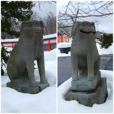 住吉神社の狛犬