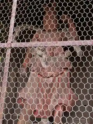 等覚院(神奈川県)