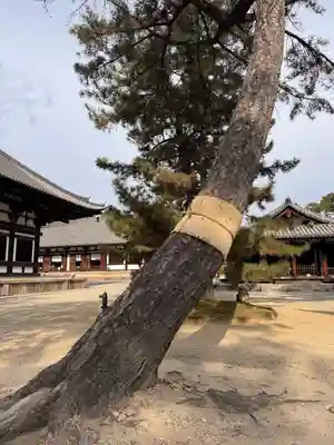 唐招提寺(奈良県)