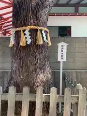 阿倍王子神社(大阪府)