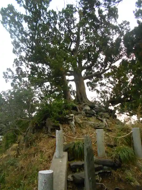 森戸大明神(森戸神社)の自然