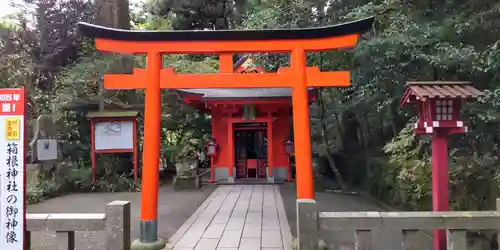 箱根神社の鳥居