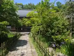 王禅寺(神奈川県)