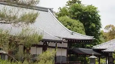 大覚寺の本殿・本堂