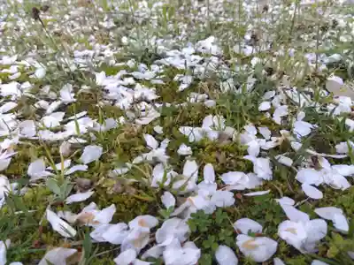足羽神社(福井県)